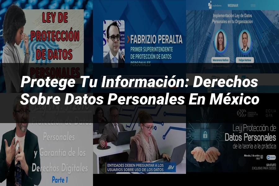 "Protege tu Información: Derechos sobre Datos Personales en México"