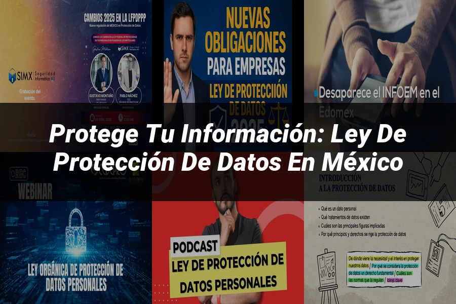 "Protege tu Información: Ley de Protección de Datos en México"