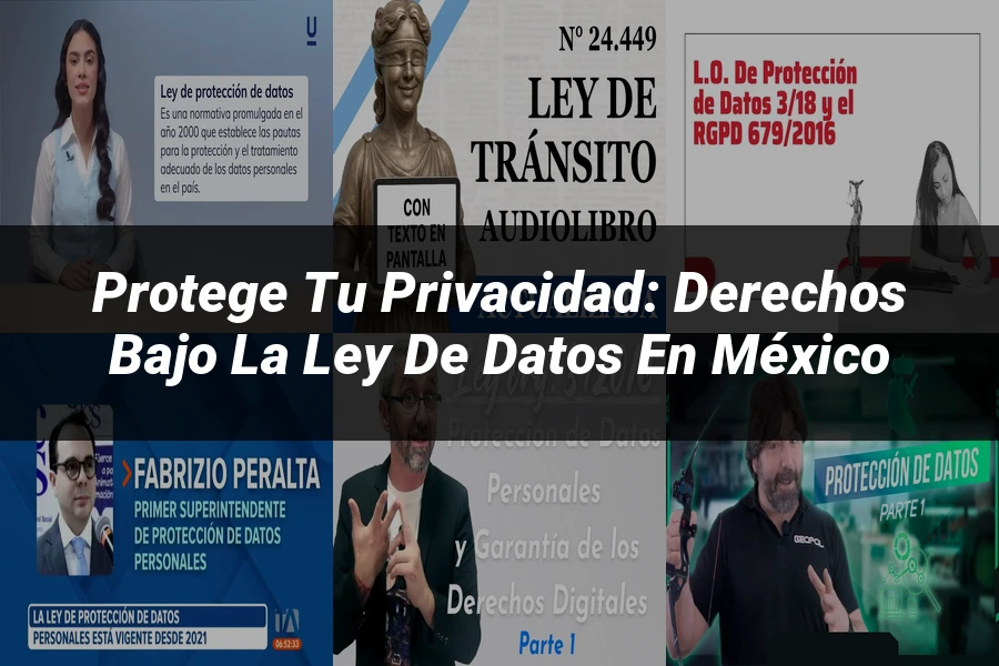 "Protege tu Privacidad: Derechos bajo la Ley de Datos en México"