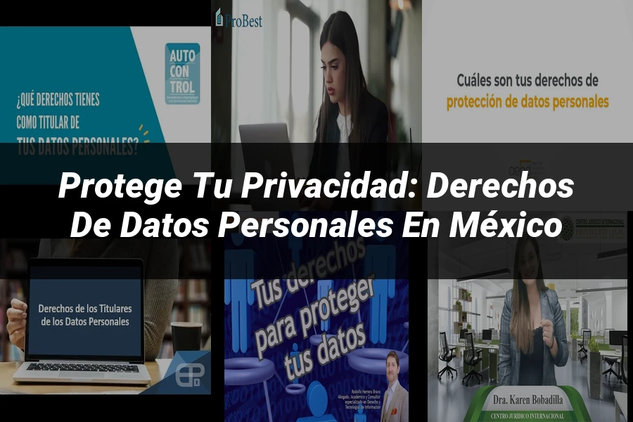 "Protege tu Privacidad: Derechos de Datos Personales en México"
