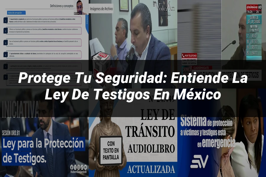 "Protege tu Seguridad: Entiende la Ley de Testigos en México"