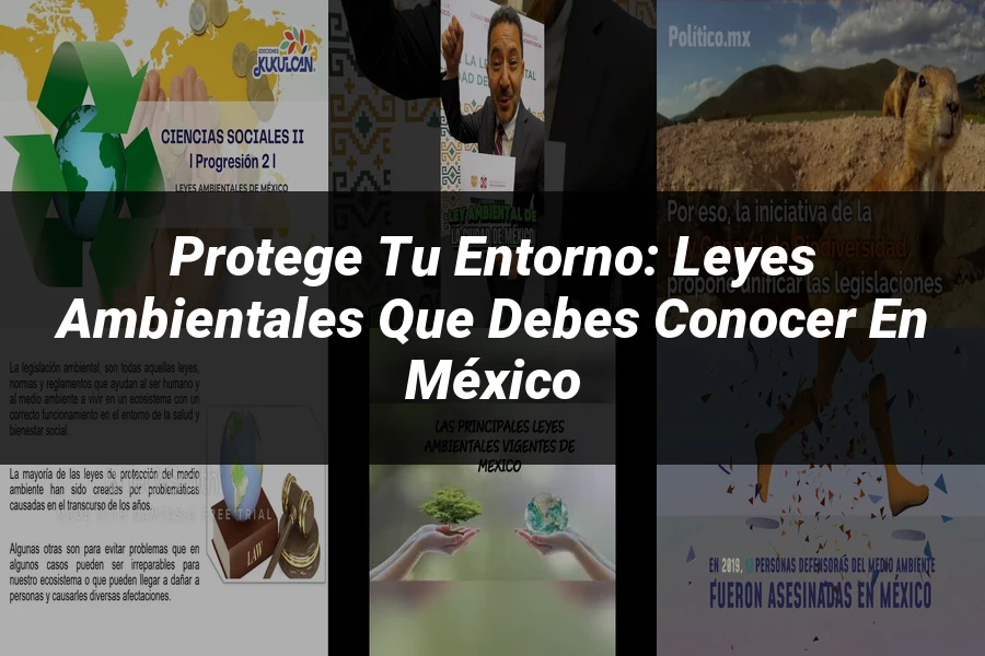 "Protege tu entorno: leyes ambientales que debes conocer en México"