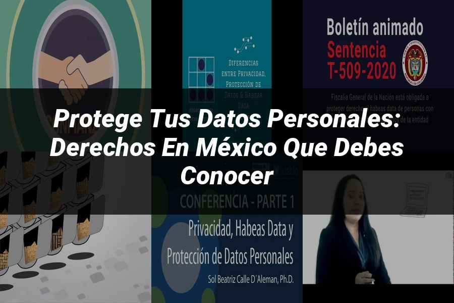 "Protege tus Datos Personales: Derechos en México que Debes Conocer"