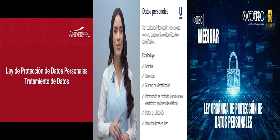 "Protege tus Datos Personales: Derechos y Leyes en México"