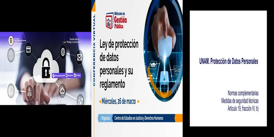 "Protege tus Datos Personales: Derechos y Leyes en México"
