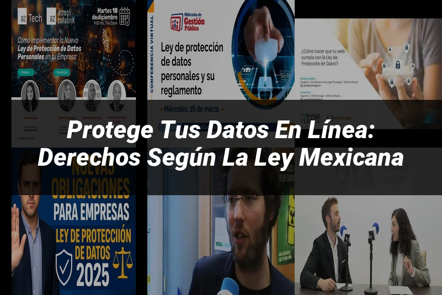 "Protege tus Datos en Línea: Derechos según la Ley Mexicana"