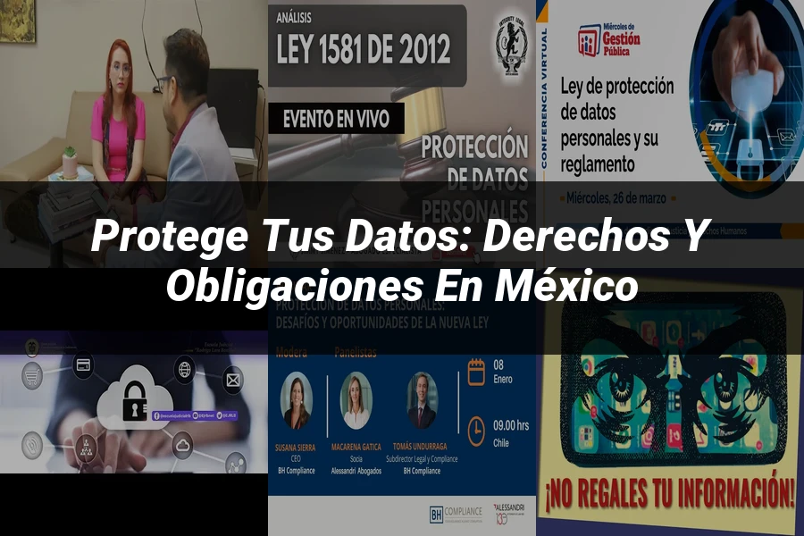 "Protege tus Datos: Derechos y Obligaciones en México"