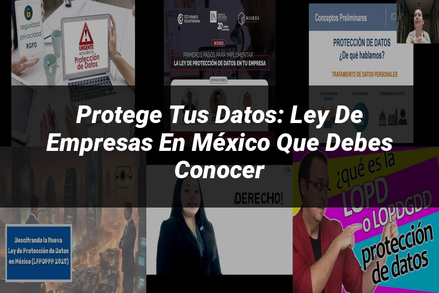 "Protege tus Datos: Ley de Empresas en México que Debes Conocer"