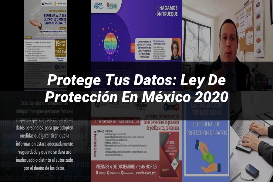"Protege tus Datos: Ley de Protección en México 2020"