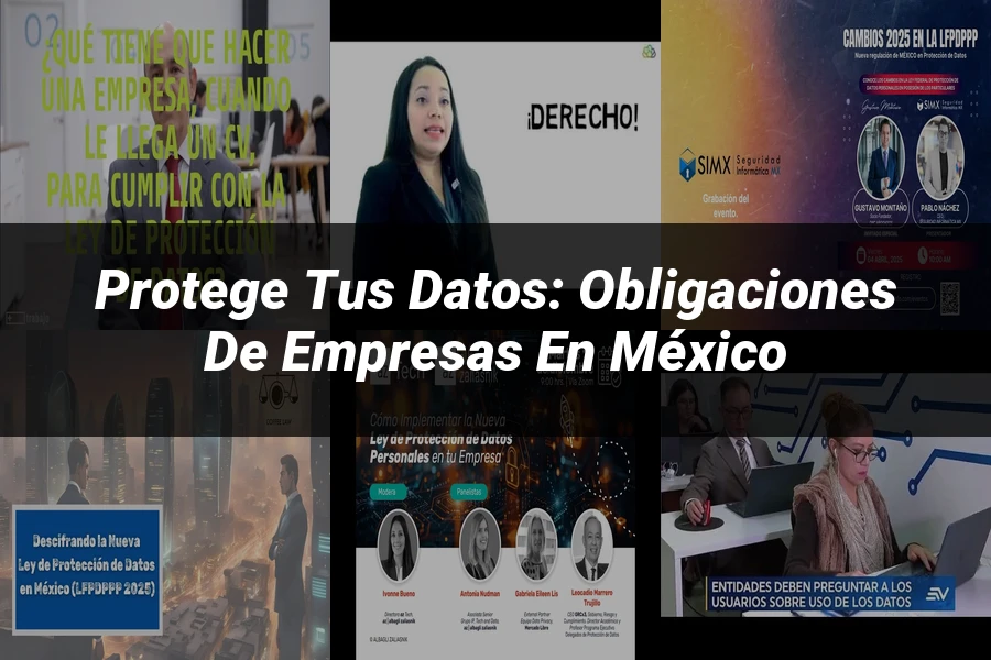 "Protege tus Datos: Obligaciones de Empresas en México"