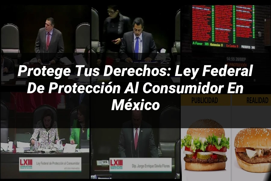 "Protege tus Derechos: Ley Federal de Protección al Consumidor en México"