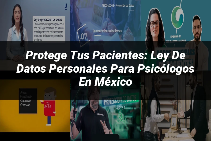 "Protege tus Pacientes: Ley de Datos Personales para Psicólogos en México"