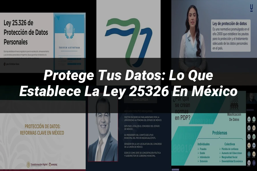 "Protege tus datos: lo que establece la ley 25326 en México"