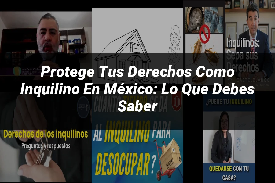 "Protege tus derechos como inquilino en México: lo que debes saber"