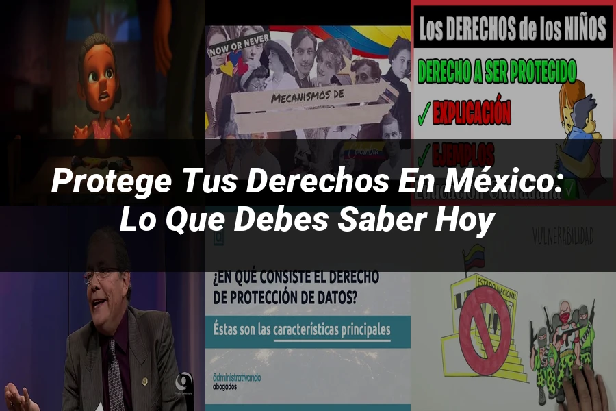 "Protege tus derechos en México: lo que debes saber hoy"