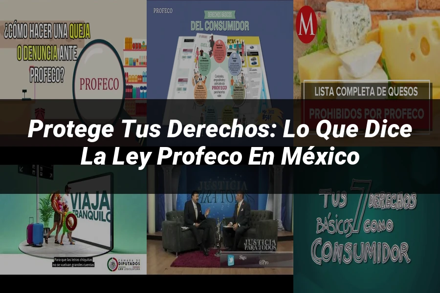 "Protege tus derechos: Lo que dice la ley Profeco en México"