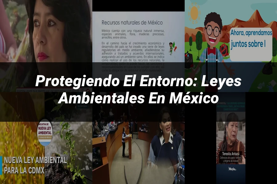 "Protegiendo el entorno: Leyes ambientales en México"