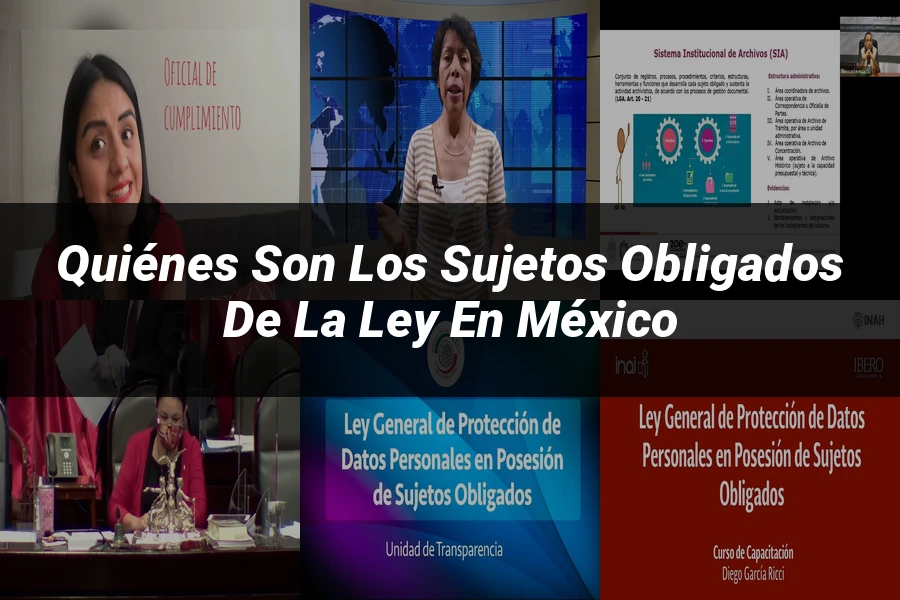 "Quiénes son los sujetos obligados de la ley en México"