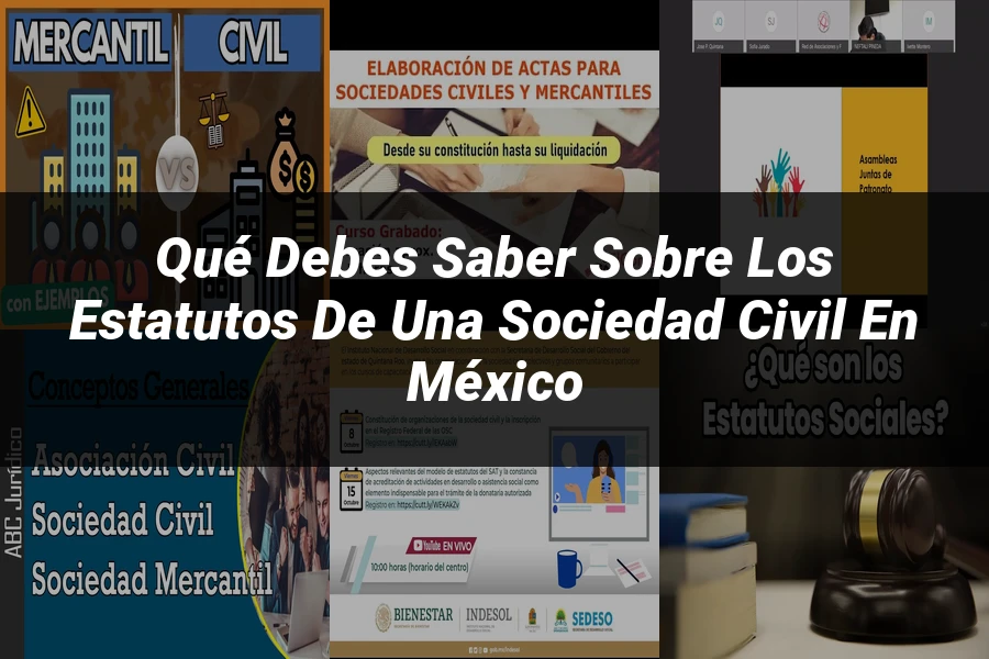"Qué Debes Saber sobre los Estatutos de una Sociedad Civil en México"
