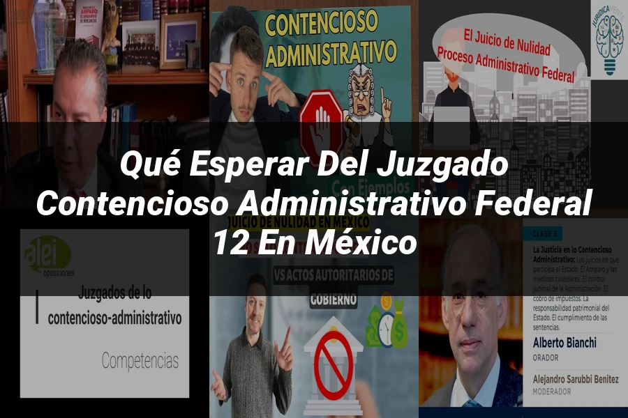 "Qué Esperar del Juzgado Contencioso Administrativo Federal 12 en México"