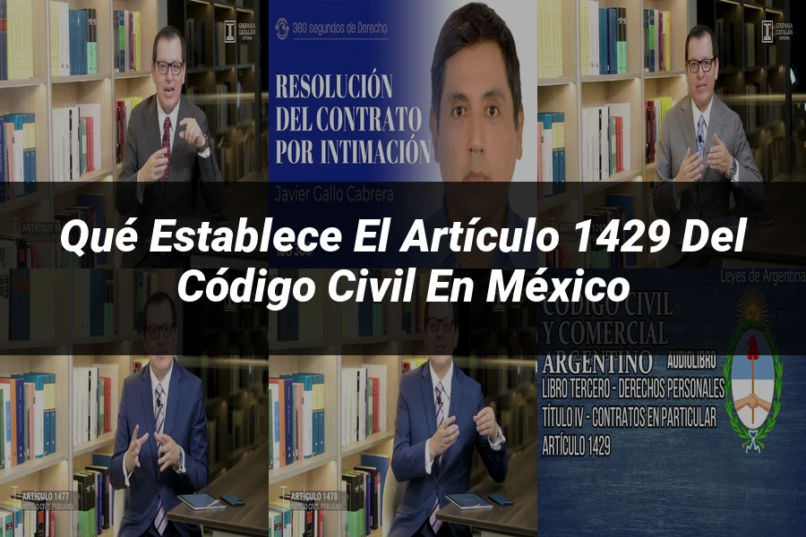 "Qué Establece el Artículo 1429 del Código Civil en México"