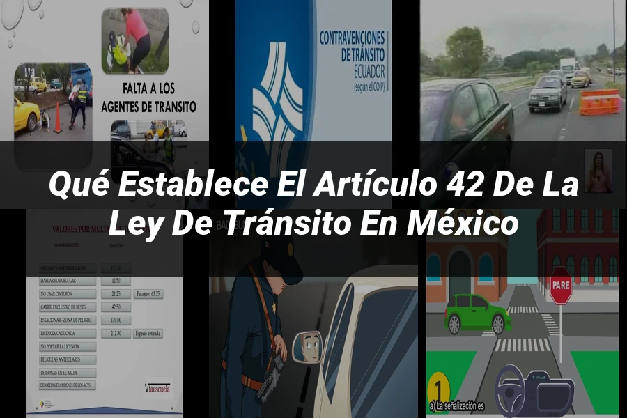 "Qué Establece el Artículo 42 de la Ley de Tránsito en México"