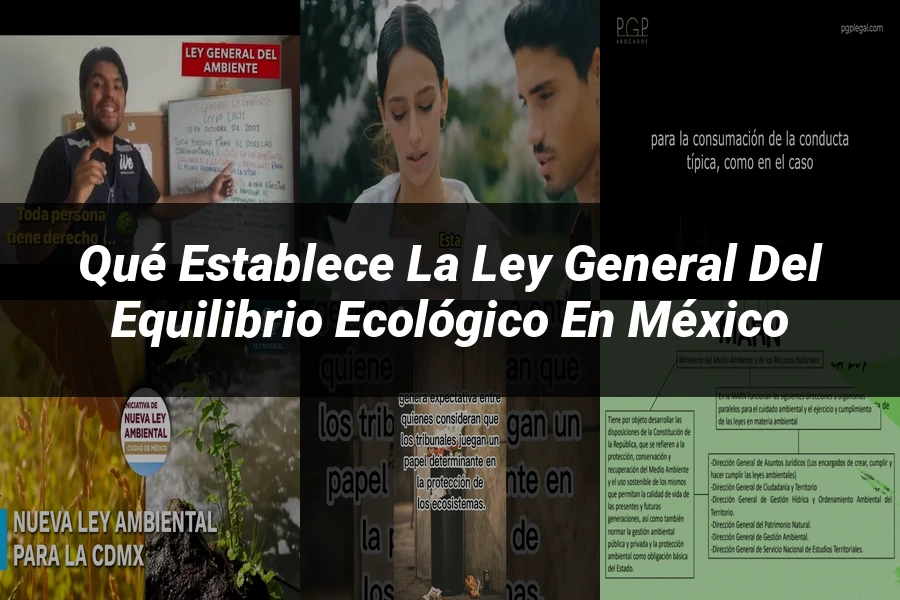 "Qué Establece la Ley General del Equilibrio Ecológico en México"