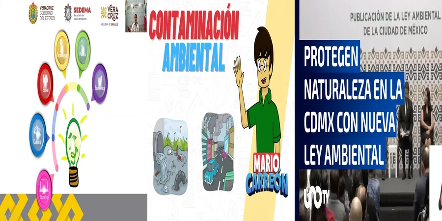 "Qué Establece la Ley General del Equilibrio Ecológico en México"