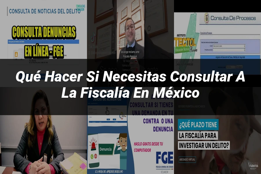 "Qué Hacer Si Necesitas Consultar a la Fiscalía en México"