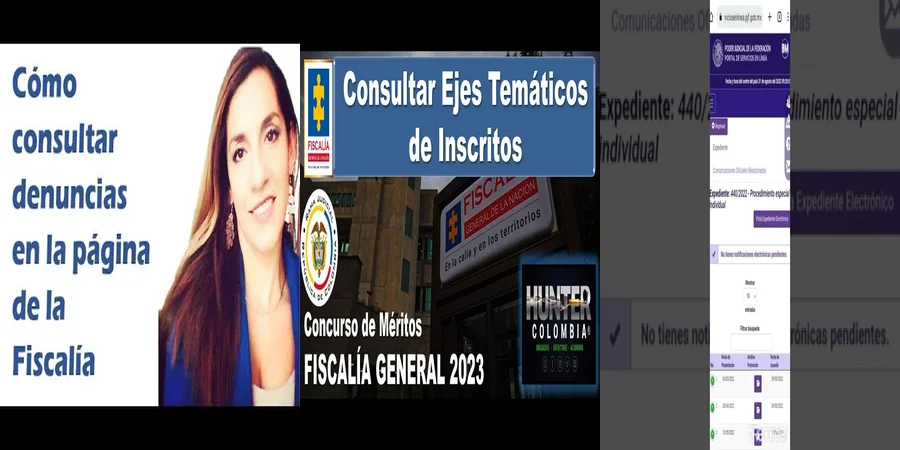 "Qué Hacer Si Necesitas Consultar a la Fiscalía en México"