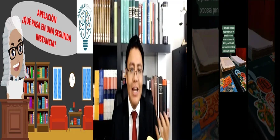 "Qué Hacer Si Te Rechazan una Apelación Judicial en México"