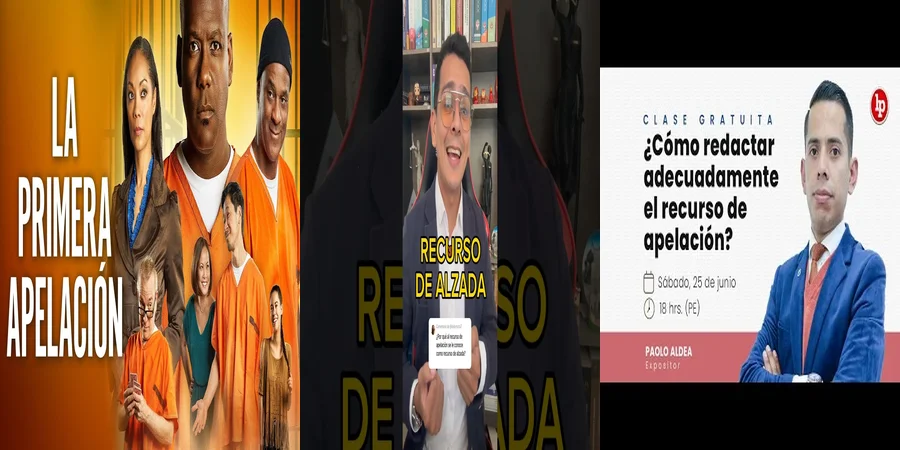 "Qué Hacer Si Te Rechazan una Apelación en México"