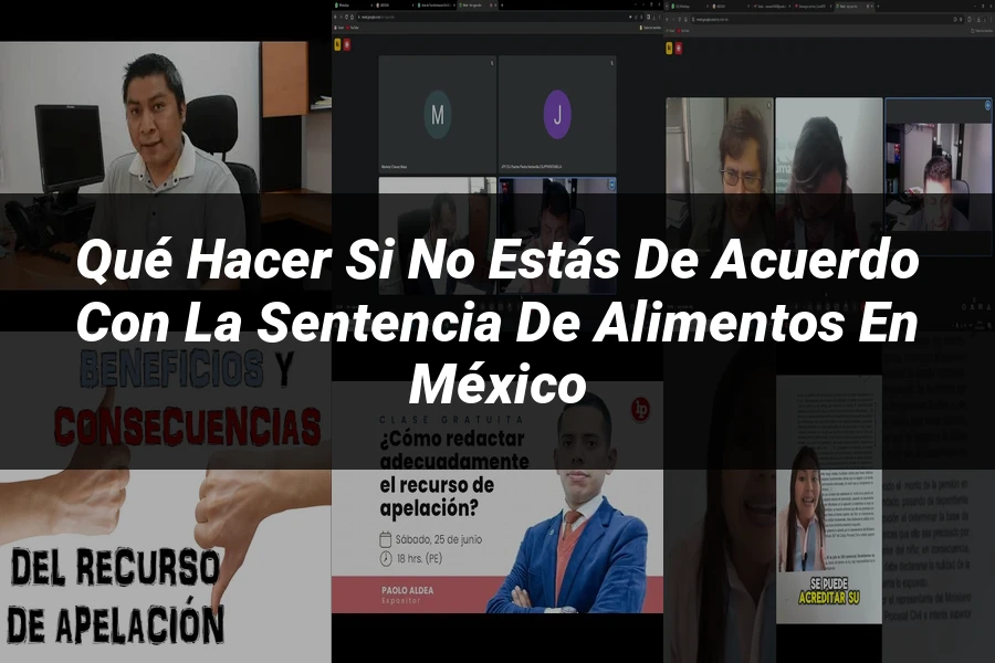 "Qué Hacer si No Estás de Acuerdo con la Sentencia de Alimentos en México