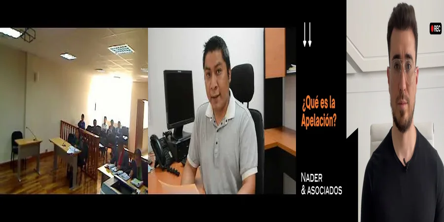 "Qué Hacer si No Estás de Acuerdo con la Sentencia de Alimentos en México