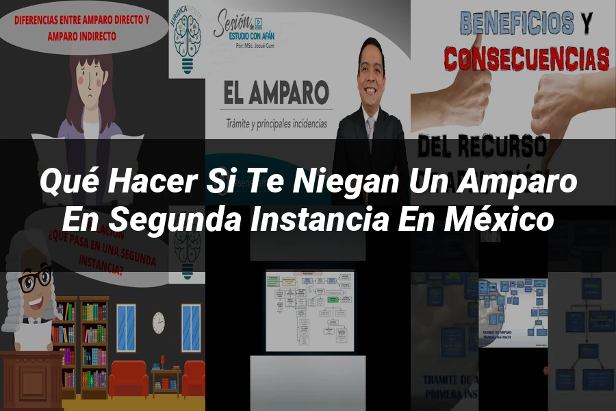 "Qué Hacer si Te Niegan un Amparo en Segunda Instancia en México"
