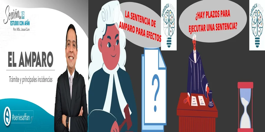 "Qué Hacer si Te Niegan un Amparo en Segunda Instancia en México"