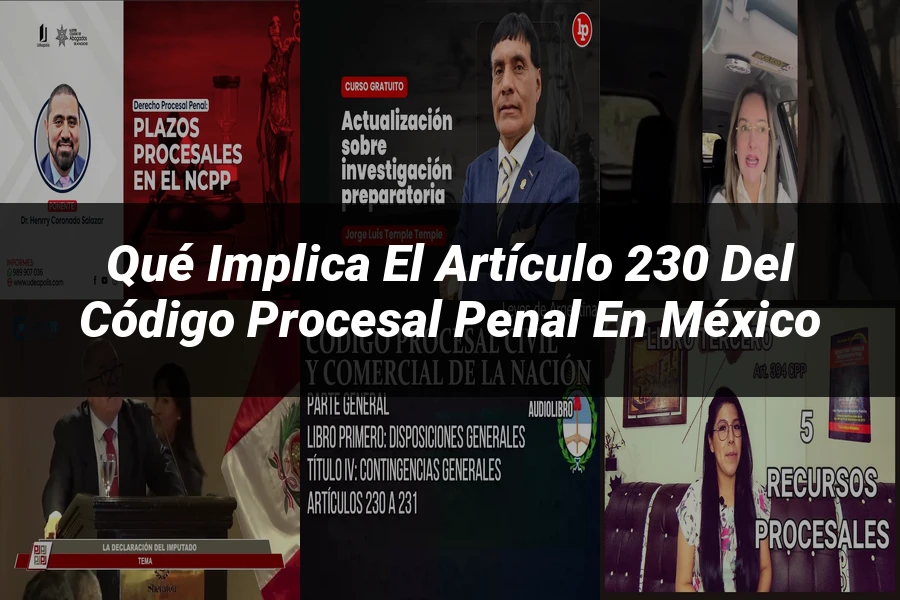 "Qué Implica el Artículo 230 del Código Procesal Penal en México"