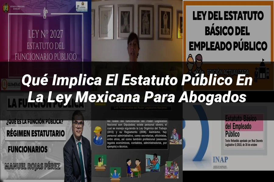 "Qué Implica el Estatuto Público en la Ley Mexicana para Abogados"