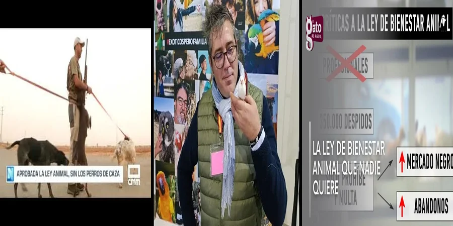 "Qué Implica la Nueva Ley de Bienestar Animal en México para Abogados"