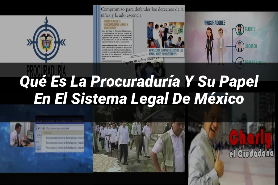 "Qué es la procuraduría y su papel en el sistema legal de México"