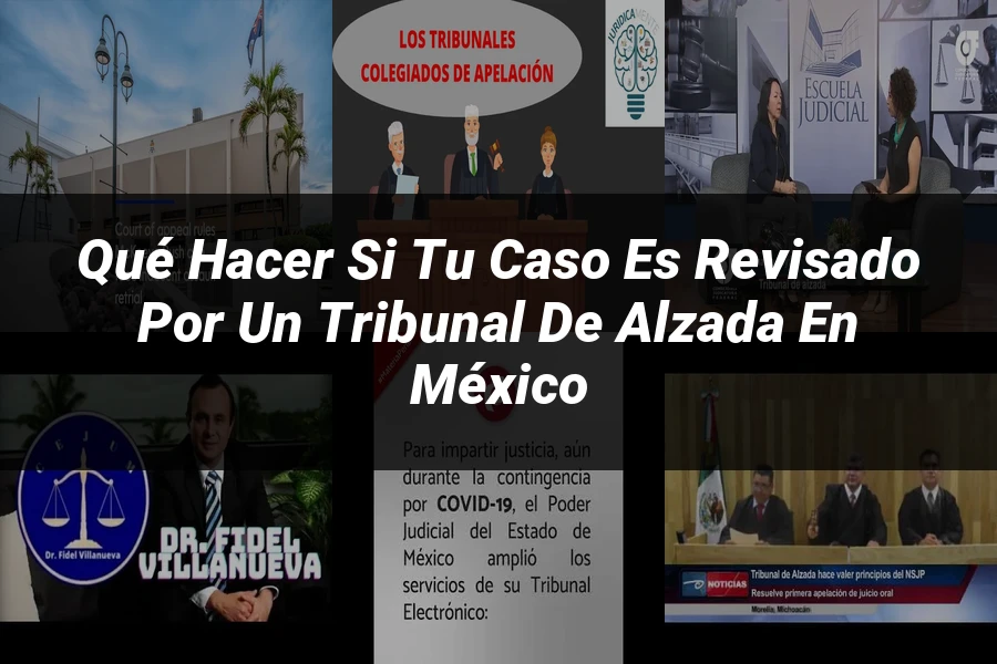 "Qué hacer si tu caso es revisado por un tribunal de alzada en México"