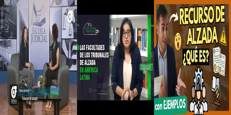 "Qué hacer si tu caso es revisado por un tribunal de alzada en México"