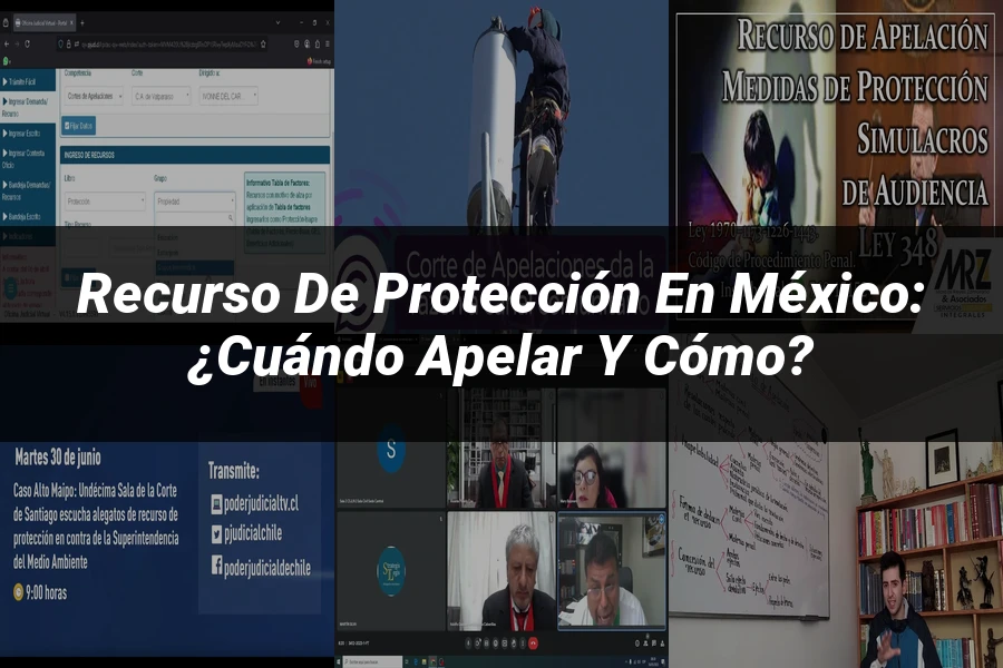 "Recurso de Protección en México: ¿Cuándo Apelar y Cómo?"
