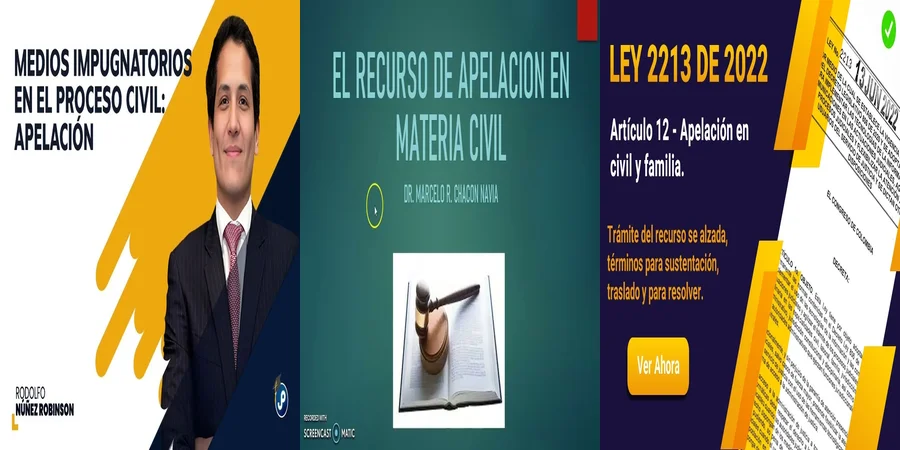 "Recurso de apelación civil: tus derechos en México explicados"