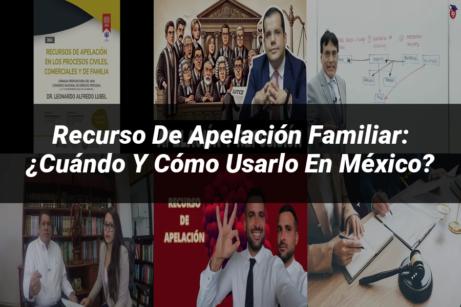 "Recurso de apelación familiar: ¿Cuándo y cómo usarlo en México?"