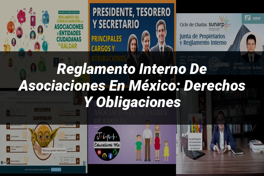 "Reglamento Interno de Asociaciones en México: Derechos y Obligaciones"