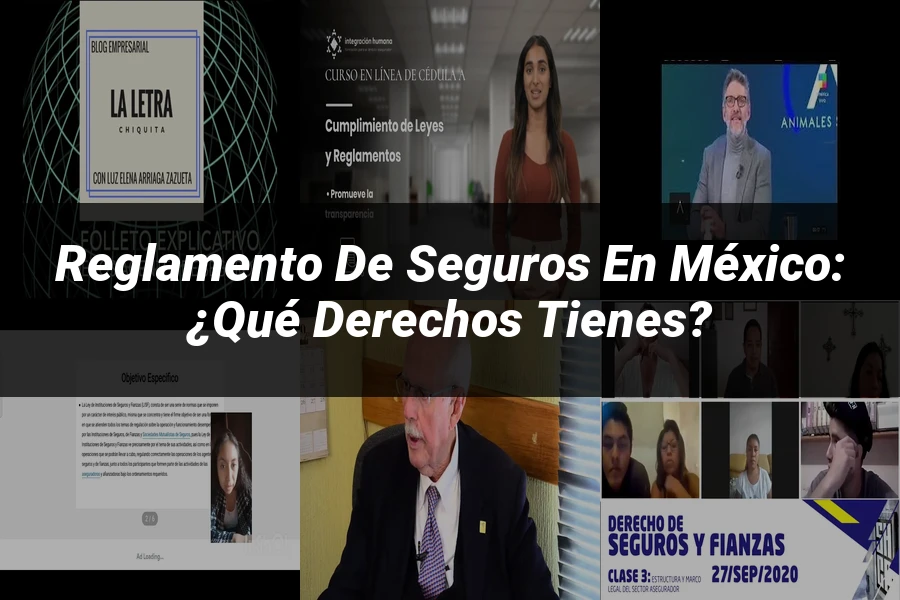 "Reglamento de Seguros en México: ¿Qué Derechos Tienes?"