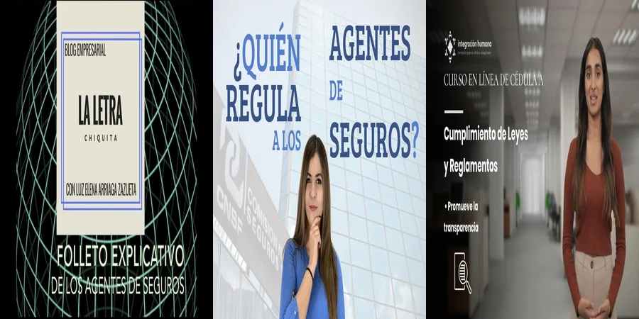 "Reglamento de Seguros y Fianzas 2022: Lo que Debes Saber en México"