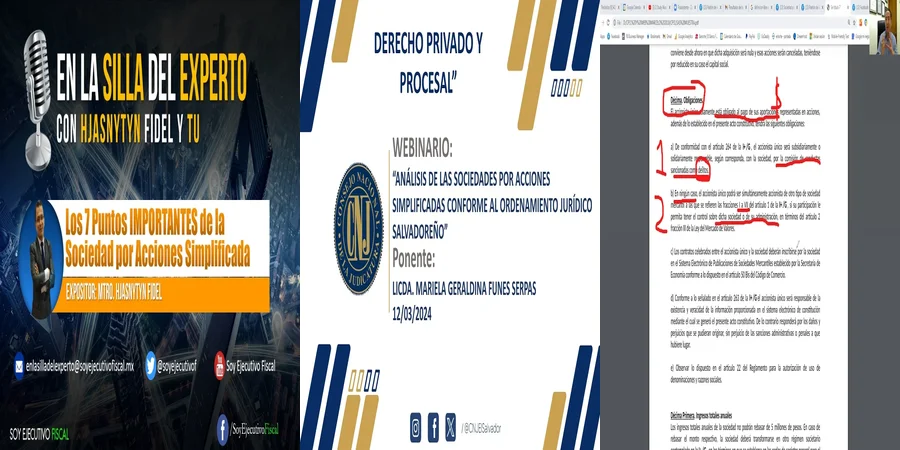"Reglamento de Sociedad por Acciones Simplificada: Lo que Establece la Ley en