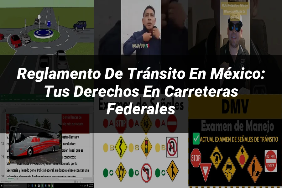 "Reglamento de tránsito en México: tus derechos en carreteras federales"
